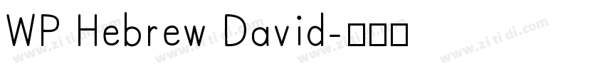 WP Hebrew David字体转换